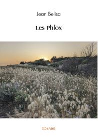 Les Phlox