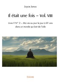 Il était une fois – Vol. VIII