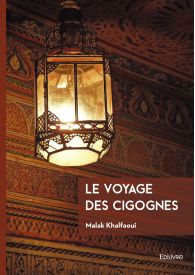 Le voyage des cigognes