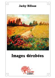 Images dérobées