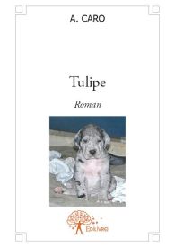 Tulipe