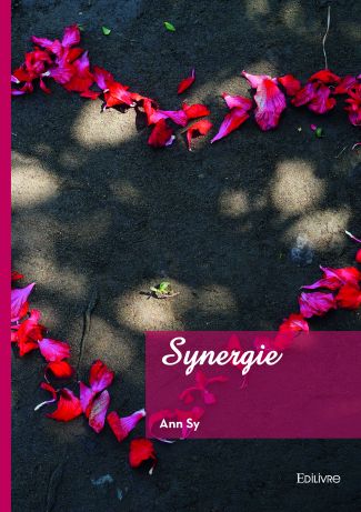 SYnergie