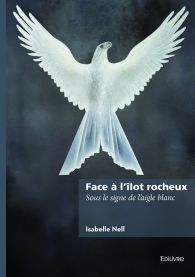 Face à l'îlot rocheux