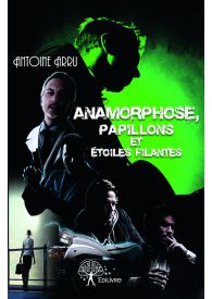 Anamorphose, papillons et étoiles filantes