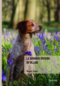 La dernière épicerie du village