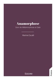 Anamorphose