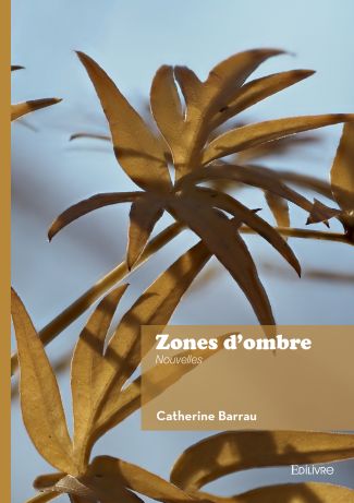 Zones d'ombre
