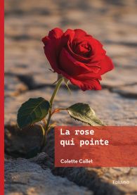La rose qui pointe