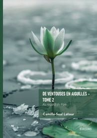 De ventouses en aiguilles - Tome 2