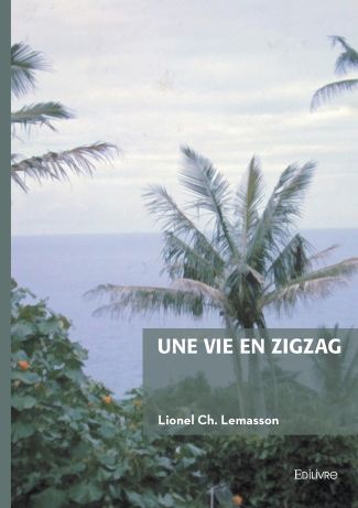 Une vie en zigzag
