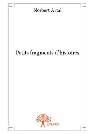 Petits fragments d'histoires