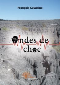 Ondes de choc