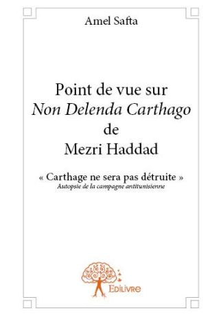 Point de vue sur Non Delenda Carthago de Mezri Haddad