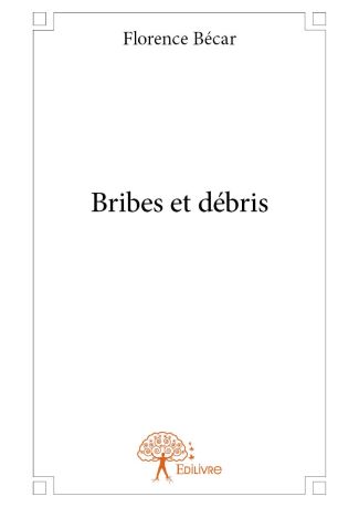 Bribes et débris