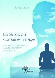 Le Guide du conseil en image