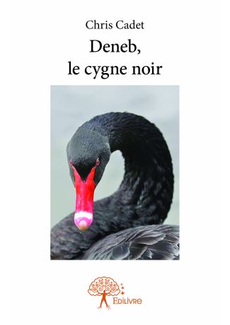 Deneb, le cygne noir