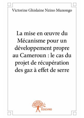 La mise en œuvre du Mécanisme pour un développement propre au Cameroun