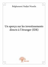 Un aperçu sur les investissements directs à l’étranger (IDE)