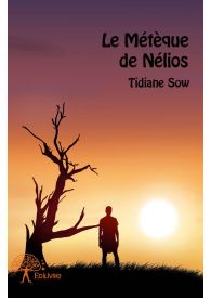 Le Métèque de Nélios