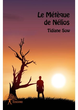 Le Métèque de Nélios