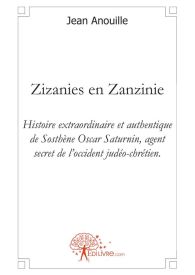 Zizanies en Zanzinie