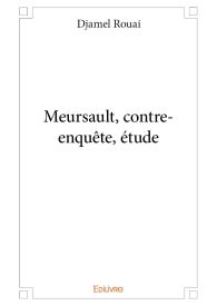 Meursault, contre-enquête, étude