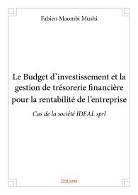 Le Budget d’investissement et la gestion de trésorerie financière