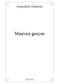 Mauvais garçon