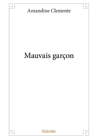 Mauvais garçon